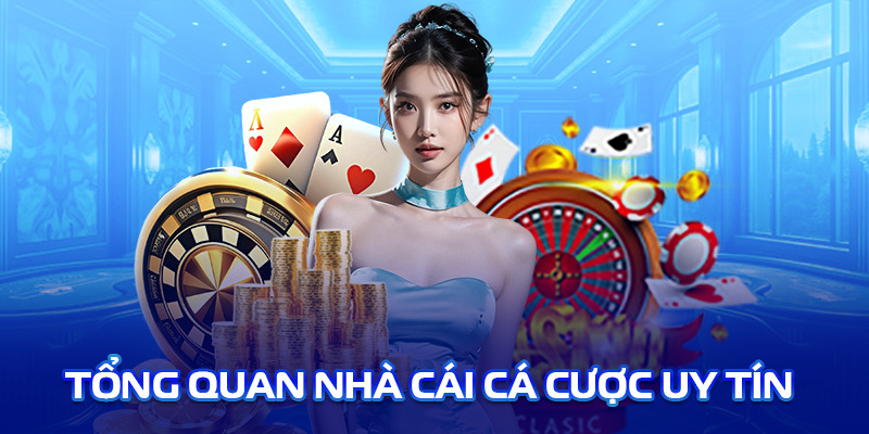 tong-quan-nha-cai-ev88-com