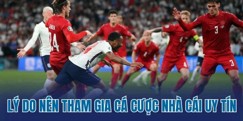 tong-hop-cac-nha-cai-ca-cuoc-the-thao-uy-tin