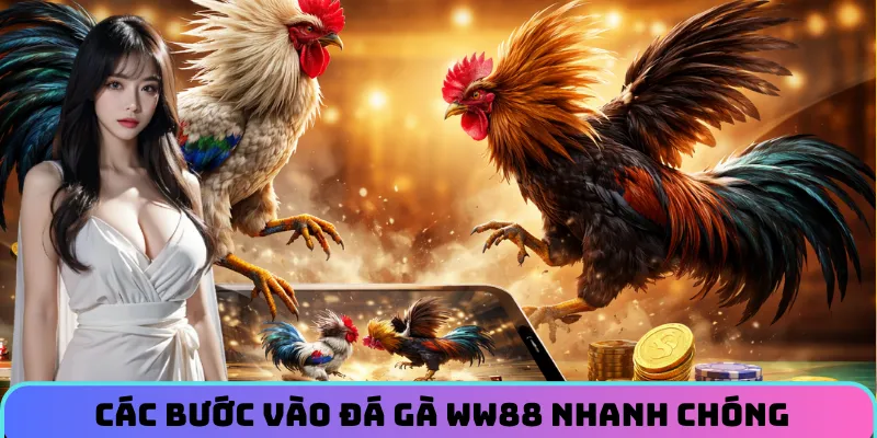Cac-buoc-tham-gia-da-ga-ww88