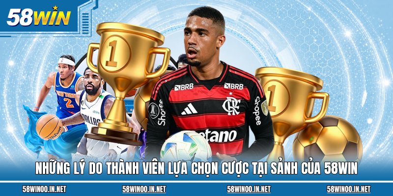 Những lý do thành viên lựa chọn cược tại sảnh của 58Win